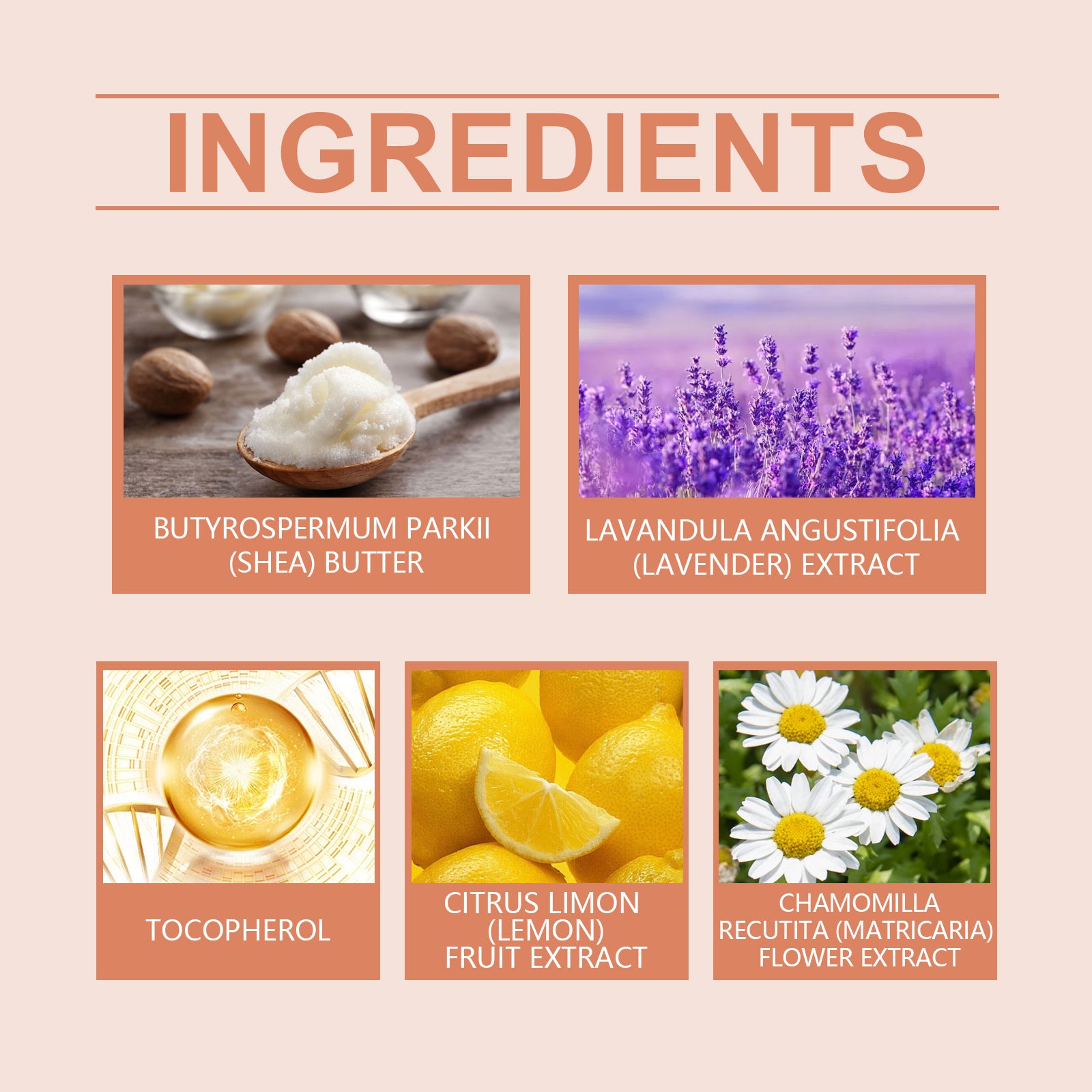 WoodSleep Lavender And Chamomile Body Butter Moisturizer Deeply Hydrates And Moisturizes